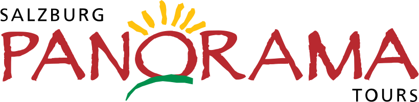 partner 13 logo