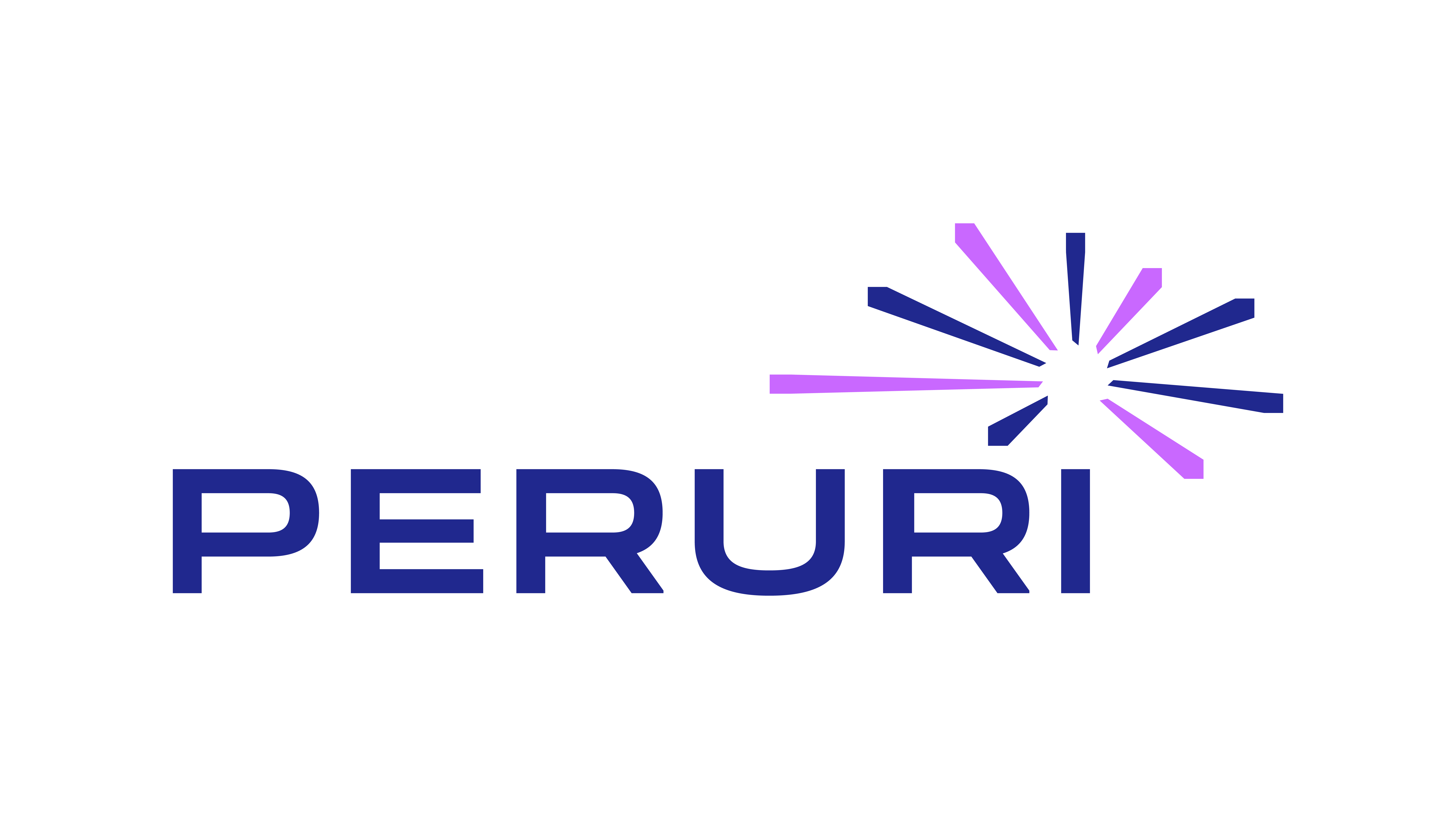 partner 14 logo